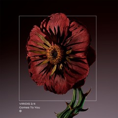 Camille Luciani - Comes To You (Original Mix)