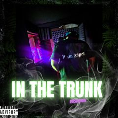 Dusk1hun - In the trunk (prod by jew3lz)