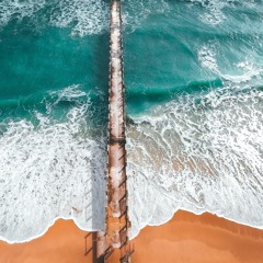 Sunny Morning - Bruno E |  Free Audio Library - Non Copyright