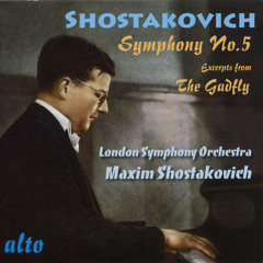 Symphony No. 5 in D Minor, Op. 47: III. Largo