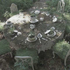 让爱自然地找到你