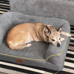 Stream of Consciousness | 2024.04.14