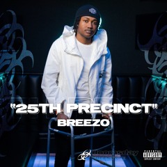25th Precinct