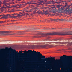 where did you fall - an antsaws cover