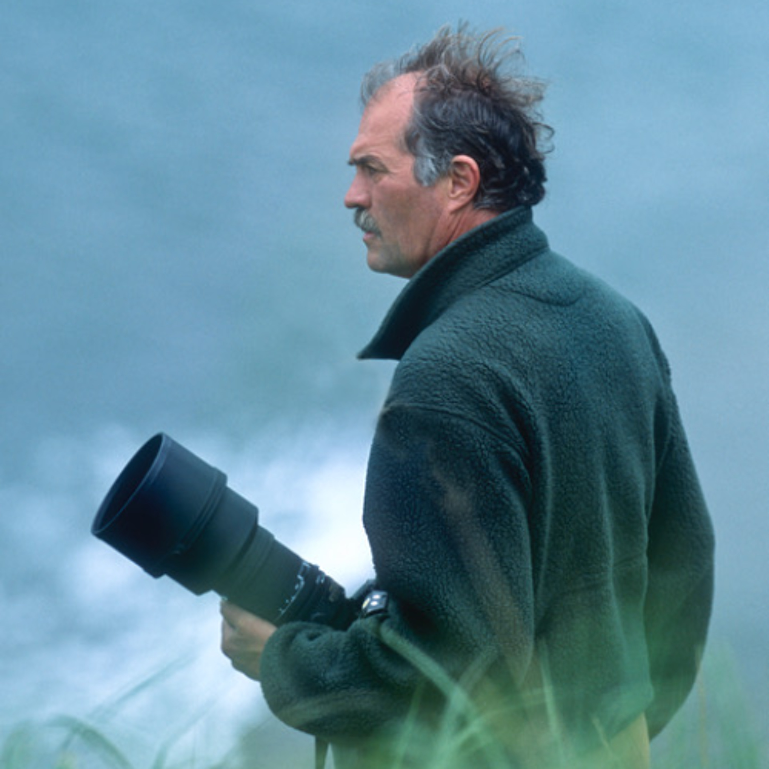 Montana photographer lands bison photo on a US stamp episode artwork