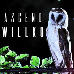 Ascend - WILLKO (Original Mix)