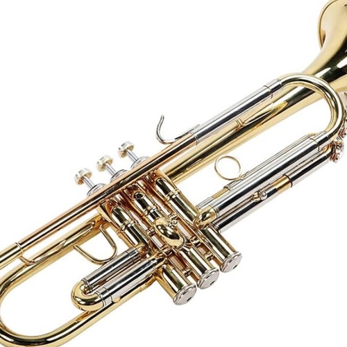 Could You Please Just Not?  (collab. w/ Glorious Fool) - 12 15 24, 16.20