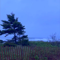 Purple Sky