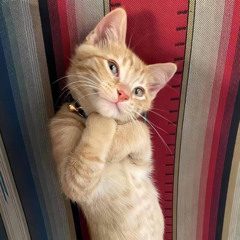 Nice Girls (Cover de Jay Kariz) Prod. CesarBeatz