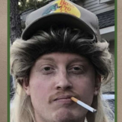 Pickle Rick Summer Adventure 1