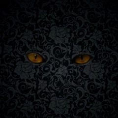 P!NK - Wild Hearts Can't Be Broken (MAHD Remix)