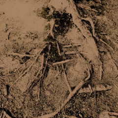 TEZEU /w Vlad Sturdza