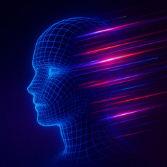 Lucid Motion