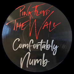 Pink Floyd - Comfortably Numb 2026 (DJ HAM H REMIX)