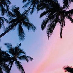 Summer Mix -Afro house