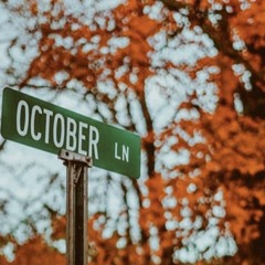 Time To Step Up(Ljm $@).m4a