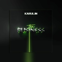 Tiësto - The Business (KARULIN Bootleg)
