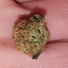 💥