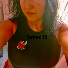 JULIO 2025 SETROC 13