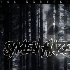 SYMEN HAZE - SCHLÄGE & TRITTE