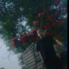 Garden For The Thieves