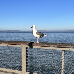 zone prod. jorko+heartless