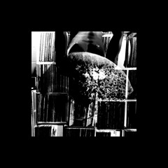 blaqSeed '20 (funky stoner ver.)