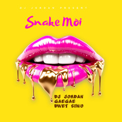 GAEGAE x DWET SIWO x DJ JORDAN - SNAKE MOI (GOUYAD REMIX)