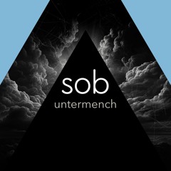 PREMIERE: Sob - Shitty Aim (Original Mix) [SofaBeats]