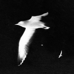 BEKAR x NEKFEU TYPE BEAT - "ENVOL"