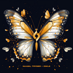 NAASA, Tryger - Owls [Journey of the Soul]