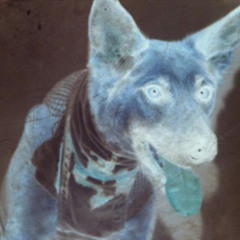 I CANI : CORSO TRIESTE RMX