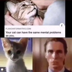 shiii