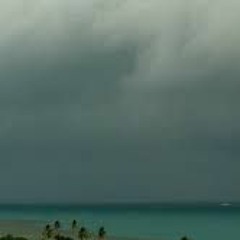 A Note From The Rain