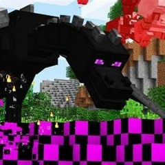 ENDER DRAGON