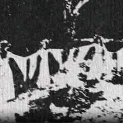 Pharmakon Kabinet 26-06-2024