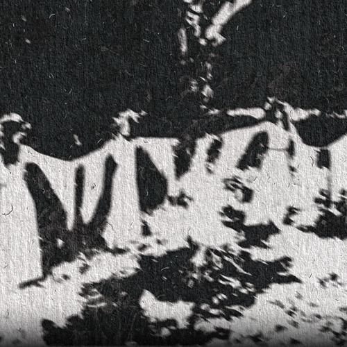 Pharmakon Kabinet 26-06-2024