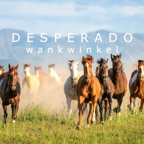 Desperado (Live @ Pony Room)