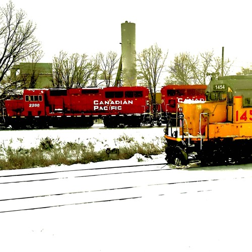 Snowfall  in Muhlcat