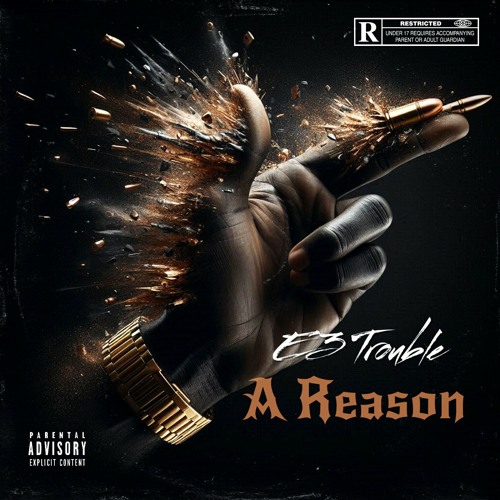 E3 Trouble - A Reason