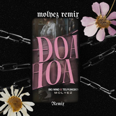 Đóa Hoa - BigWind ft TeuYungBoy (MOLYEZ REMIX)