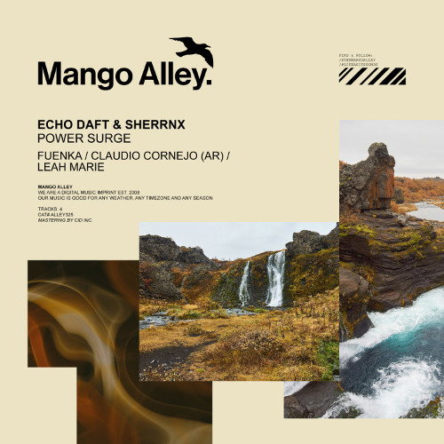 【CD】Echo エコー　LOCAL HITS FIC-009 Stream Mango Alley | Listen to ALLEY325 ECHO DAFT & SHERRNX