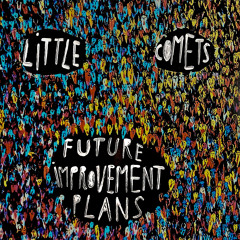 FUTURE IMPROVEMENT PLANS