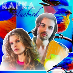 Bluebird (single-edit)
