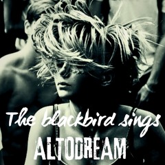 The Blackbird sings