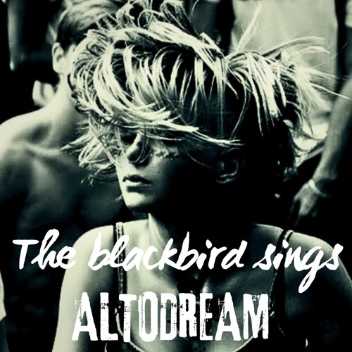 The Blackbird sings