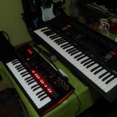 Organ Beat Project