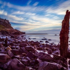 Virtual Solace Reimagined