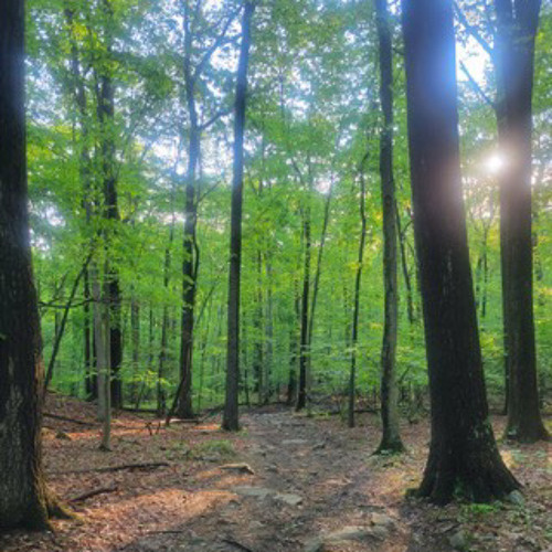 bloodstained(violet & jkjmetasco).mp3