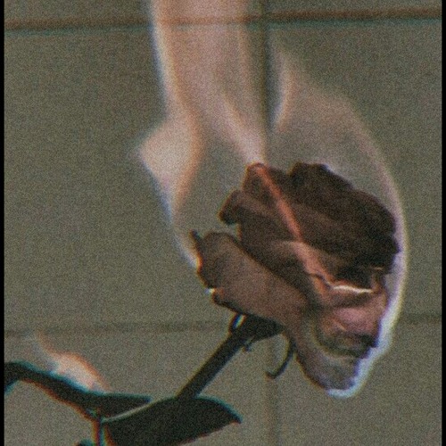 We Are Not The Same